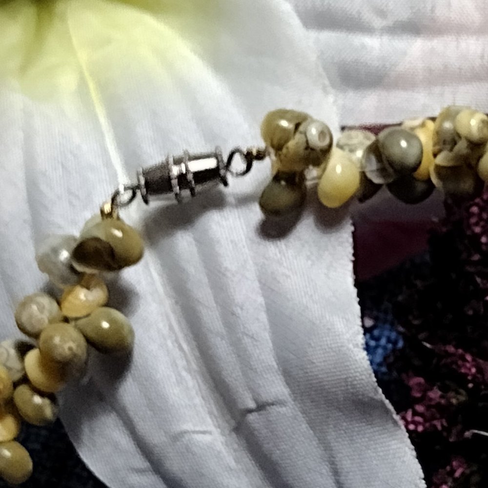 Single Strand Shell Necklace - Picture 2 of 5